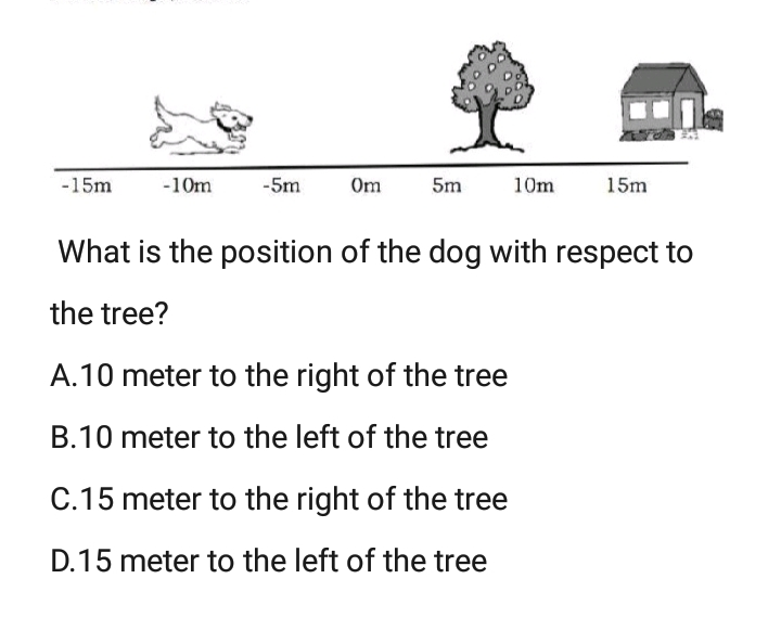 What is the position of the dog with respect to the tree? A.10 meter to the right of the tree B.10 meter to the left of the tree C.15 meter to the right of the tree D.15 meter to the left of the tree